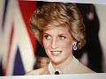 2023-11-24 Lady  Diana Den Haag (3)